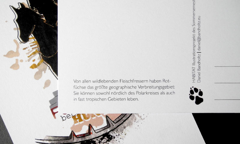 Galerie-Bild 5
